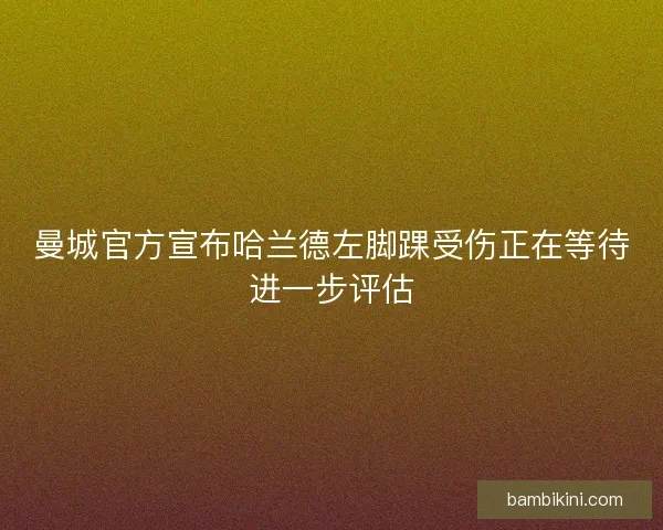 曼城官方宣布哈兰德左脚踝受伤正在等待进一步评估