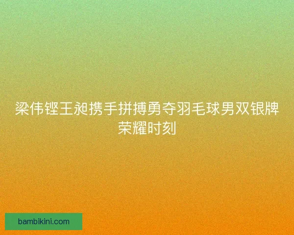 梁伟铿王昶携手拼搏勇夺羽毛球男双银牌荣耀时刻